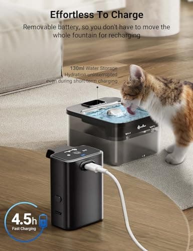 Title: Fontaine à eau sans fil DownyPaws Noir 4000mAh avec détecteur de mouvement et filtres