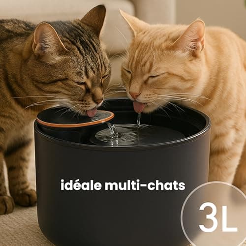 Fontaine à Eau LED pour Chat – Pompe Ultra silencieuse, 3L, Kit Complet (6 filtres, Brosse) – Distributeur sans BPA, Cer