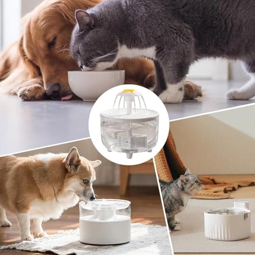 Fontaine à eau automatique pour chat - Distributeur de fleurons sans fil 958,2 g, fonctionne à piles | Ultra silencieuse