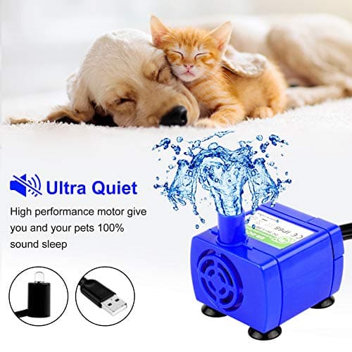 Forever Speed ​​Pompe à Eau pour Animaux de Compagnie : Pompe Basse Consommation et Super Silencieuse pour Fontaine pour