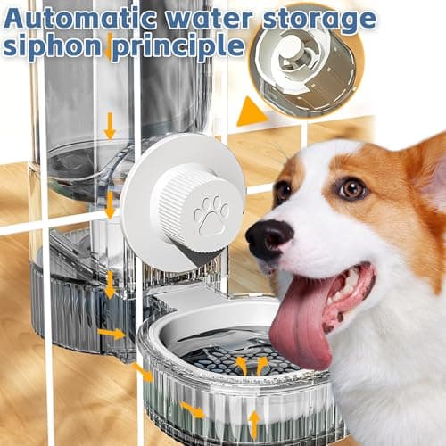 Distributeur automatique de nourriture pour chat - Fonction gravité - Économique et pratique - Pour animaux de compagnie