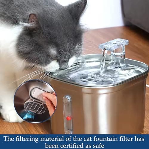 <think>

</think>

Filtres de fontaine à eau pour chat, 6 filtres à charbon actif et 6 filtres en mousse, filtres de rec
