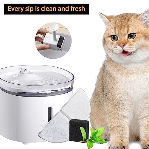 Filtres de rechange pour fontaine à eau pourchat et chien, 68oz/2L - Idéalsubstituts pour vos animauxvoucher de qualité