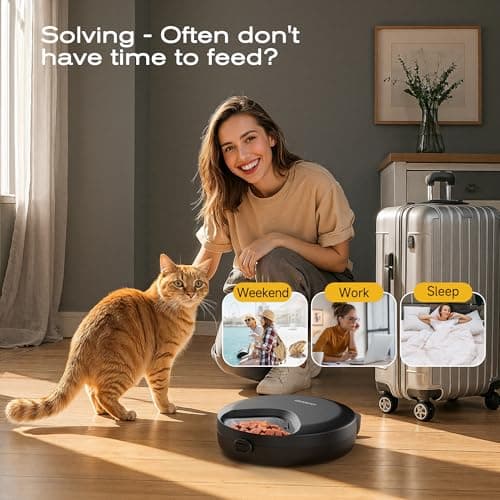Distributeurs croquettes chat programmables et réfrigérants - 4 repas