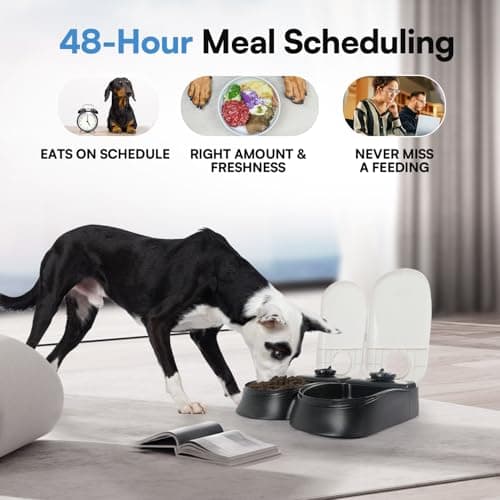 PAWISE Mangeoire Automatique pour Chats et Chiens avec Minuterie et Poche de Glace, Aliments Secs et Humides (2 Repas)