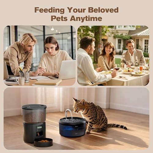 Distributeur Croquettes Chat Automatique Fontaine Eau 2,4L 3L Mangeoire Programmable Noir