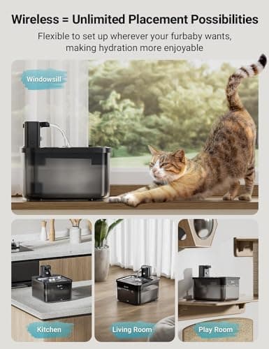 Title: Fontaine à eau sans fil DownyPaws Noir 4000mAh avec détecteur de mouvement et filtres