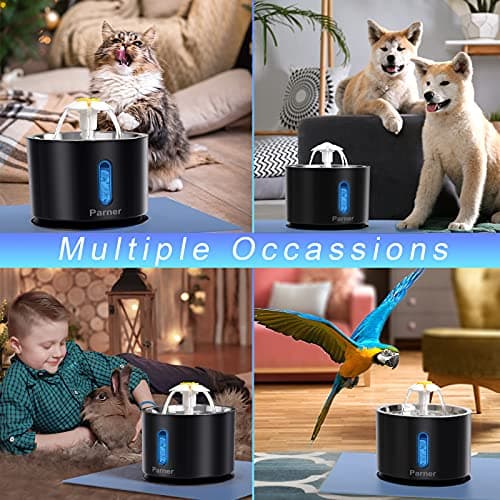 Fontaine à Eau pour Chat - 4 Filtres Hygiéniques - 2,4 l - en Acier Inoxydable - avec Lumièe LED - Noir - Fontaine Élect