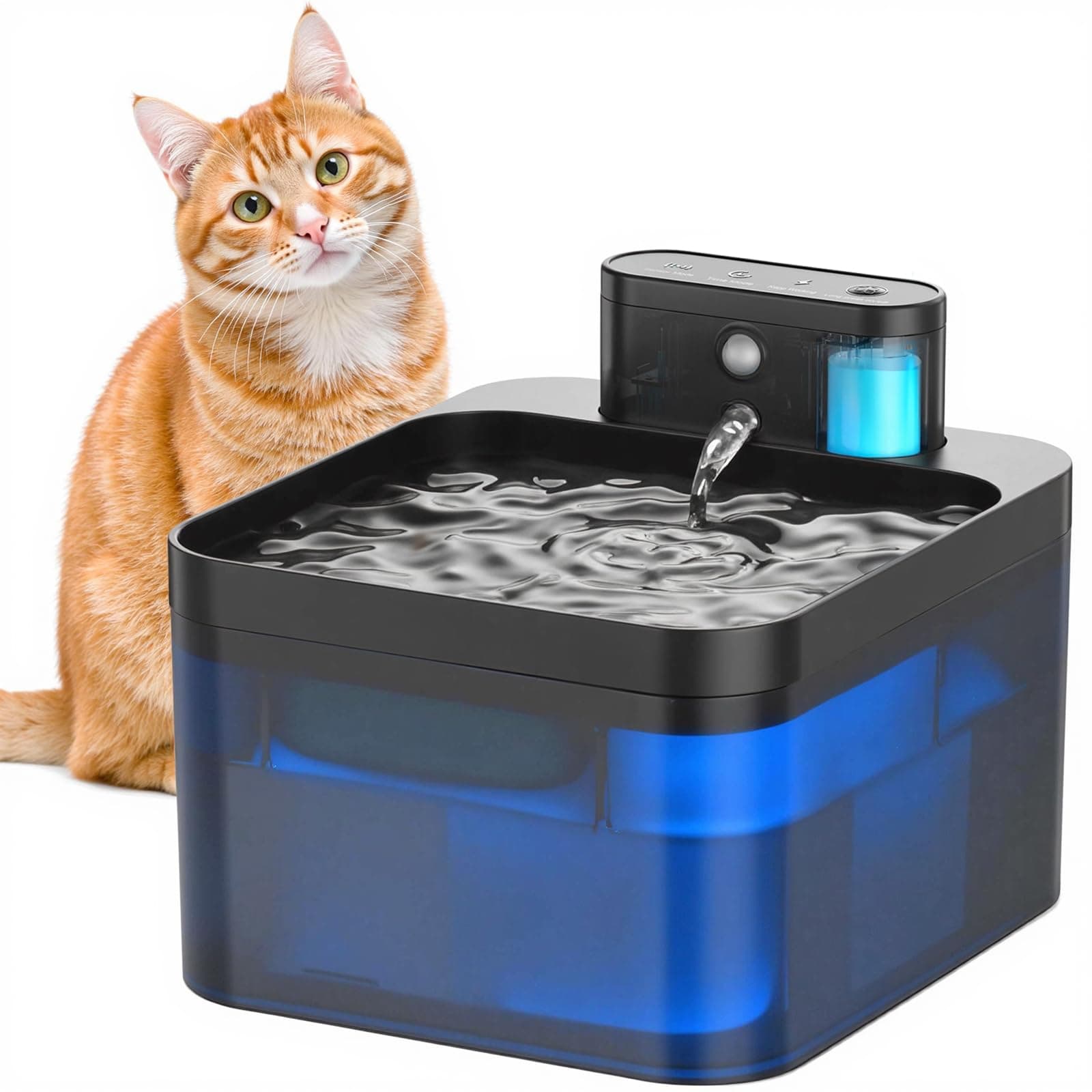 Fontaine à eau sans fil DMUUPEW pour chat, détecteur de mouvement, filtration premium